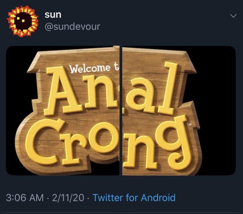 The Animal Crossing logo edited to spell the words Anal Crong